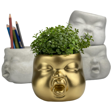 Baby Face Succulent Planter