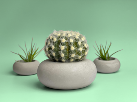 Perfect Succulent Planter