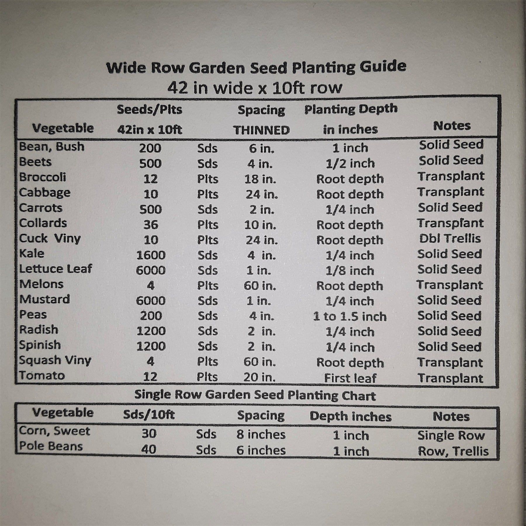 Bright Light Swiss Chard Seeds