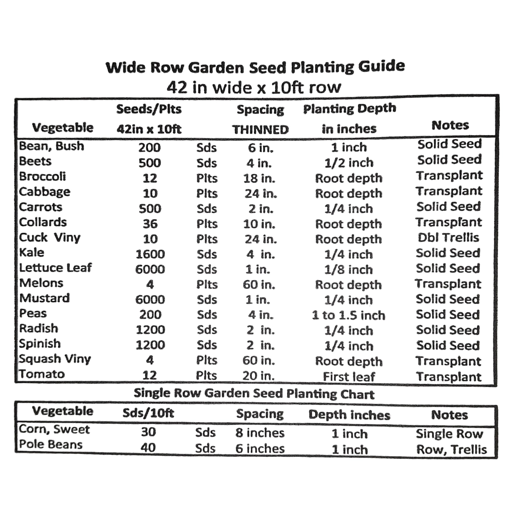 Cash Flow Hybrid Zucchini Summer Squash Seeds