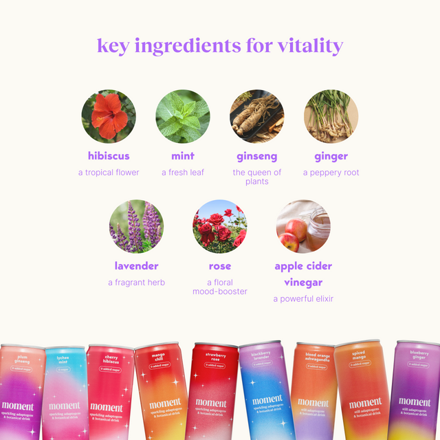 bestsellers (sparkling & still mocktail | 36 pack)