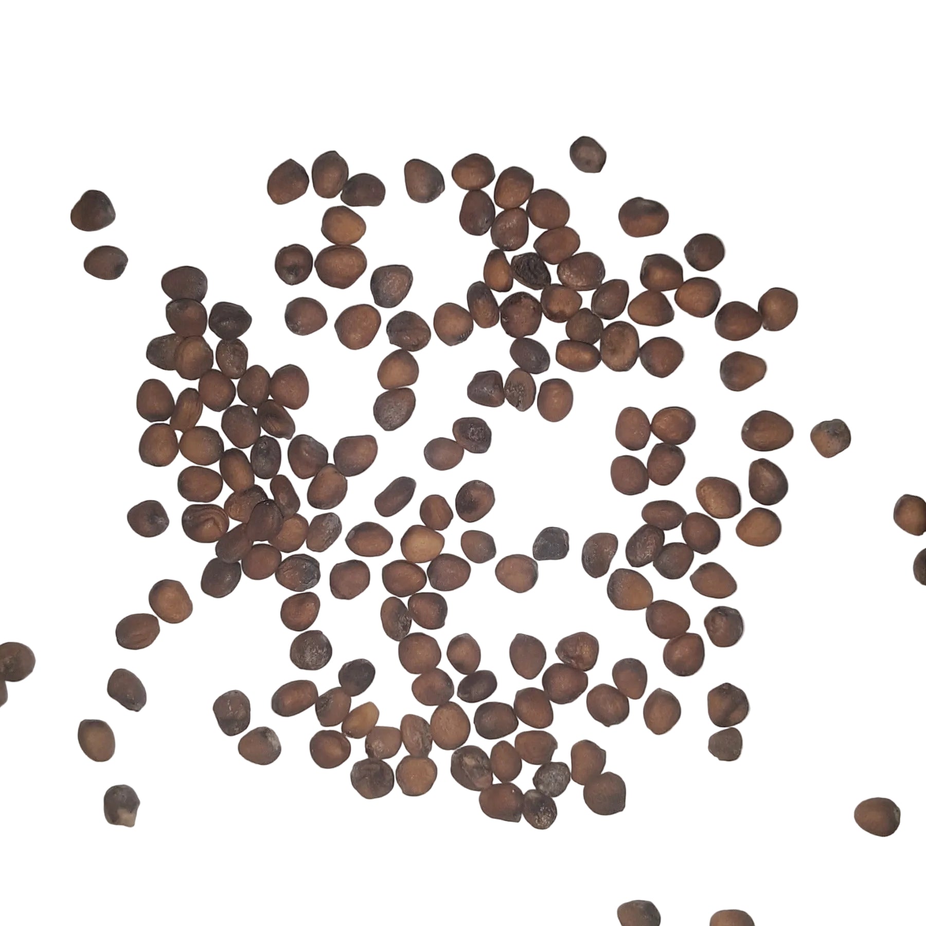 Cherry Belle Radish Seeds