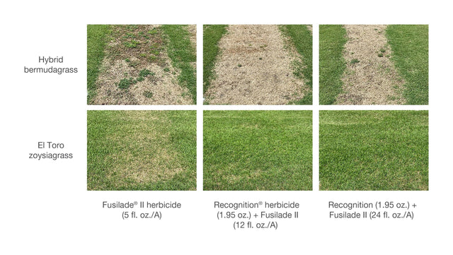 Recognition Herbicide