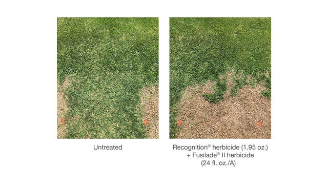 Recognition Herbicide