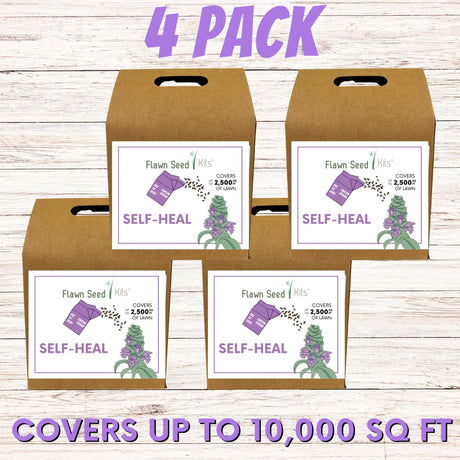 Self-Heal "Heal-All" Eco-Friendly Seeding Kit (Limited Time)