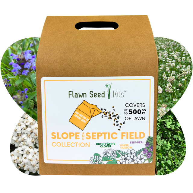 Slope and Septic System Seed Kit