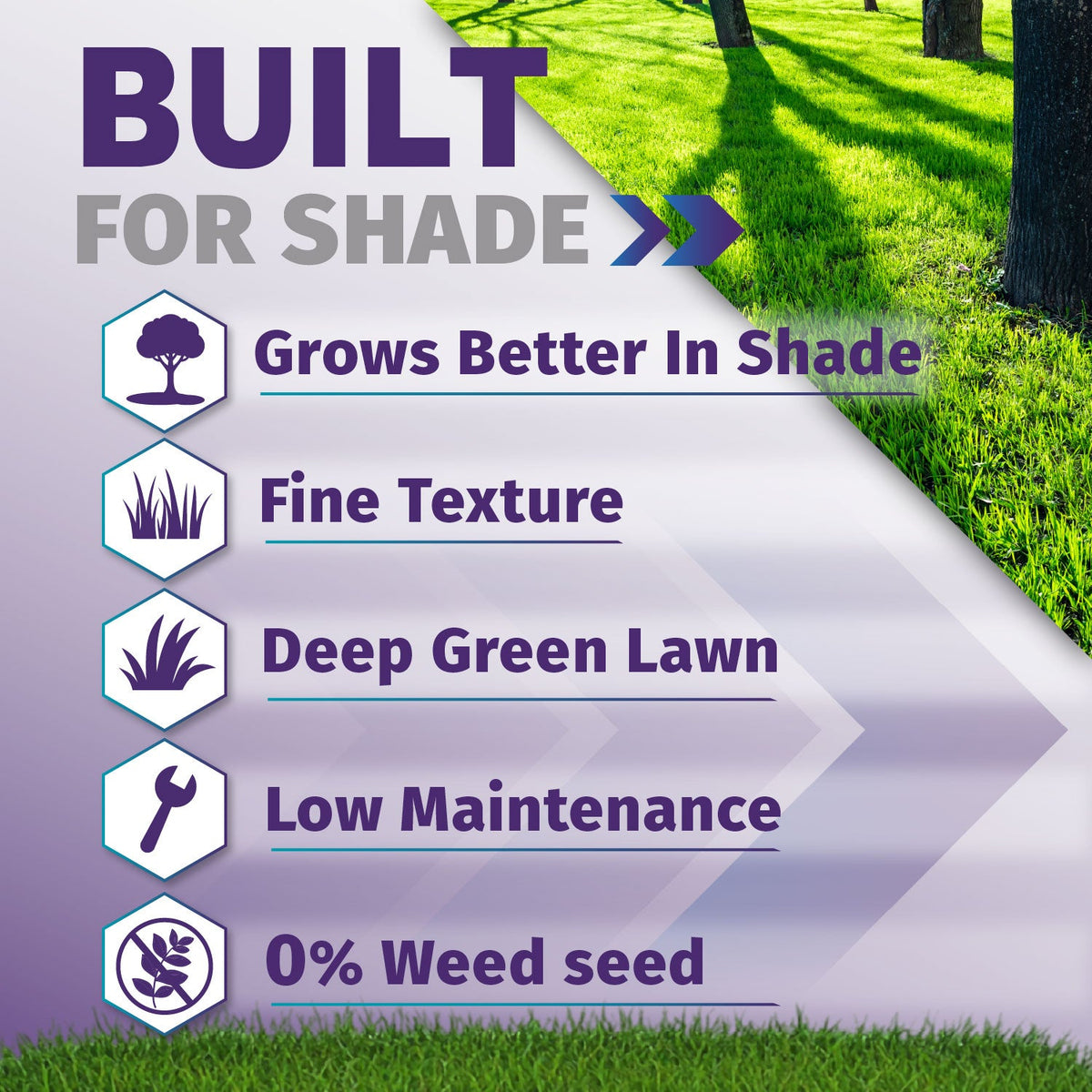 Shade Pro Grass Seed