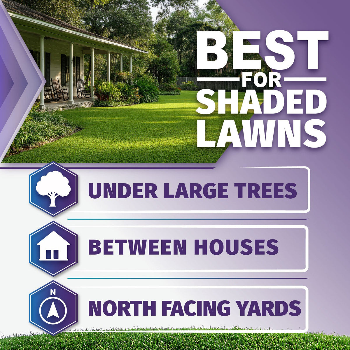 Shade Pro Grass Seed