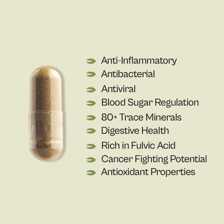 Graviola + Shilajit Supplement