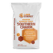 Southern Charm Bermuda Grass Seed
