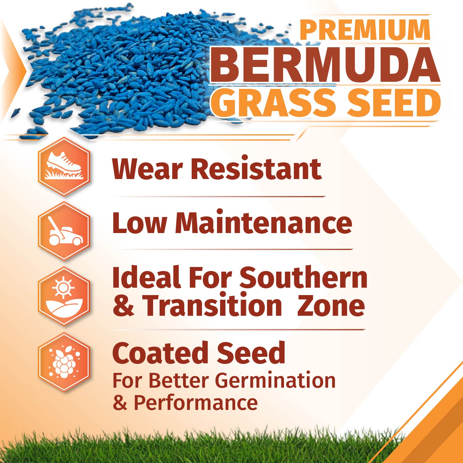 Southern Charm Bermuda Grass Seed