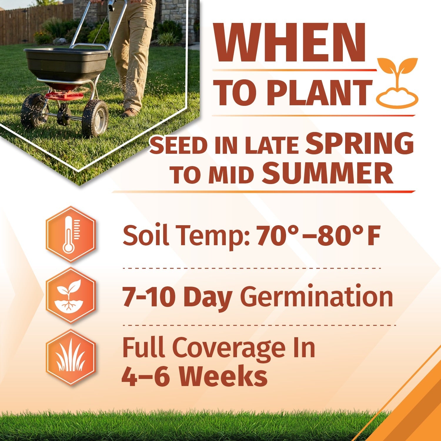 Southern Charm Bermuda Grass Seed