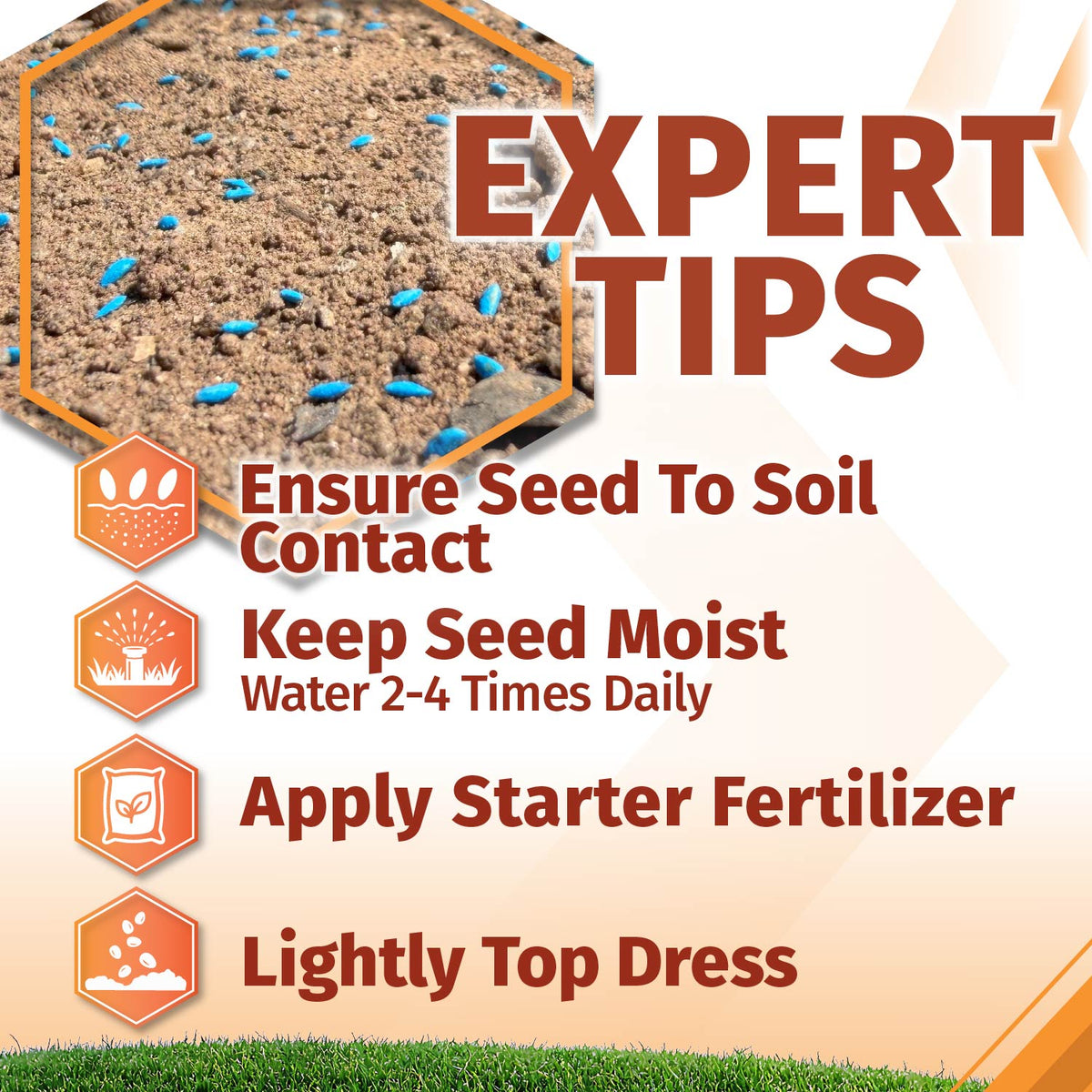 Southern Charm Bermuda Grass Seed