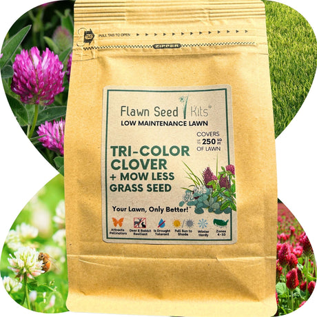 TRI-Color Clover + Mow Less Grass Seed