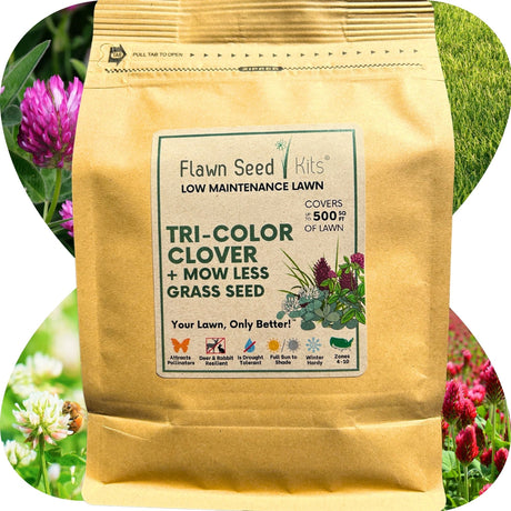TRI-Color Clover + Mow Less Grass Seed
