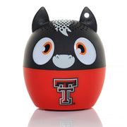 Texas Tech Red Raiders
