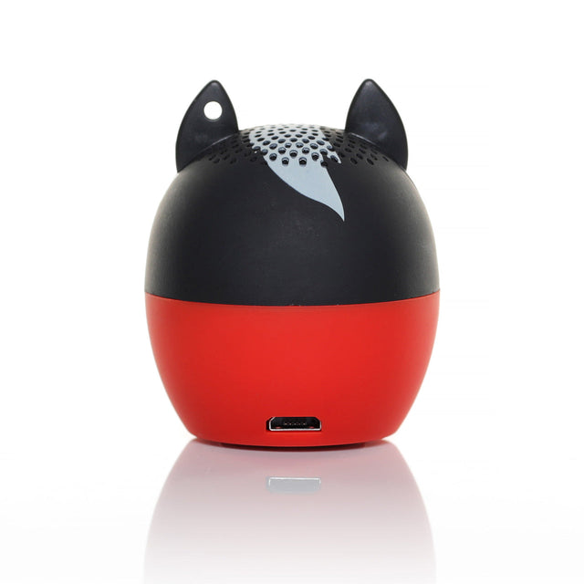 Texas Tech Red Raiders