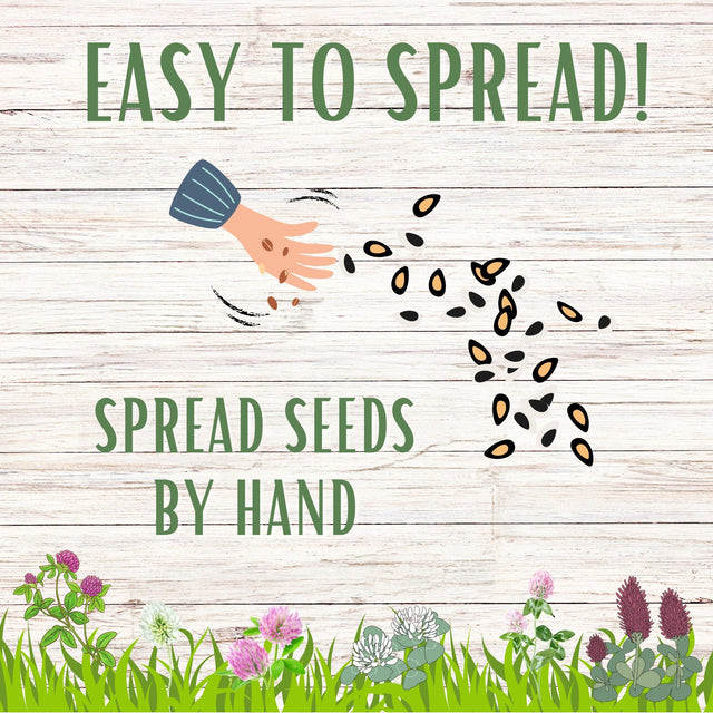 Tri-Color Clover Seed Blend