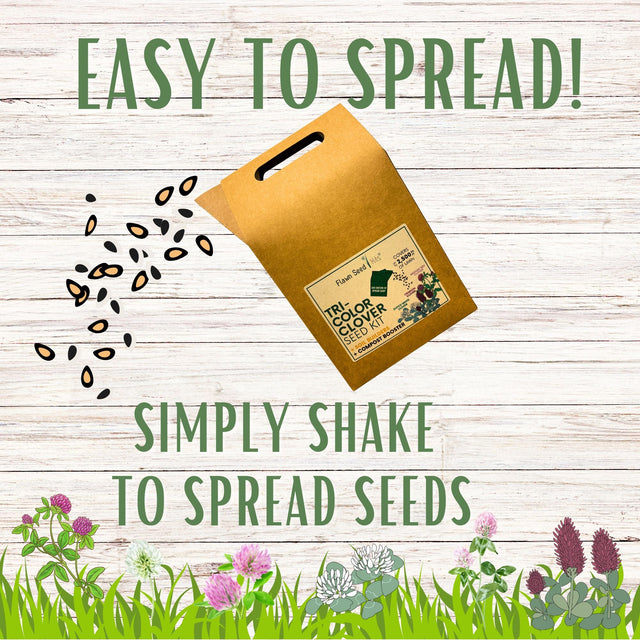 Tri-Color Clover Seed Mix Eco-Spread Carton