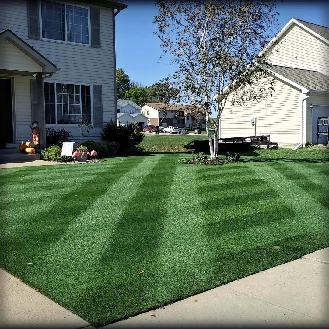 Velocity Perennial Rye Grass Seed
