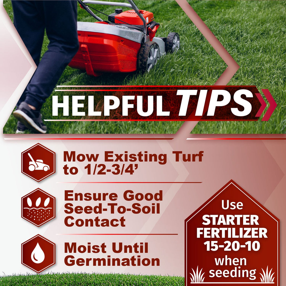Velocity Perennial Rye Grass Seed