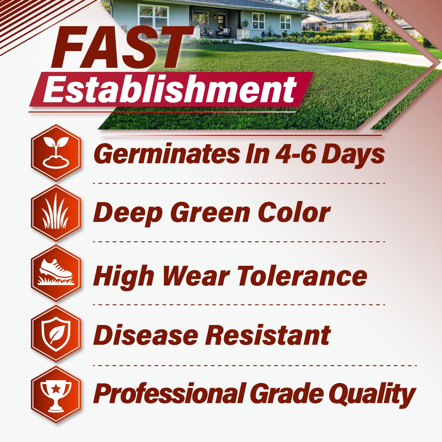 Velocity Perennial Rye Grass Seed