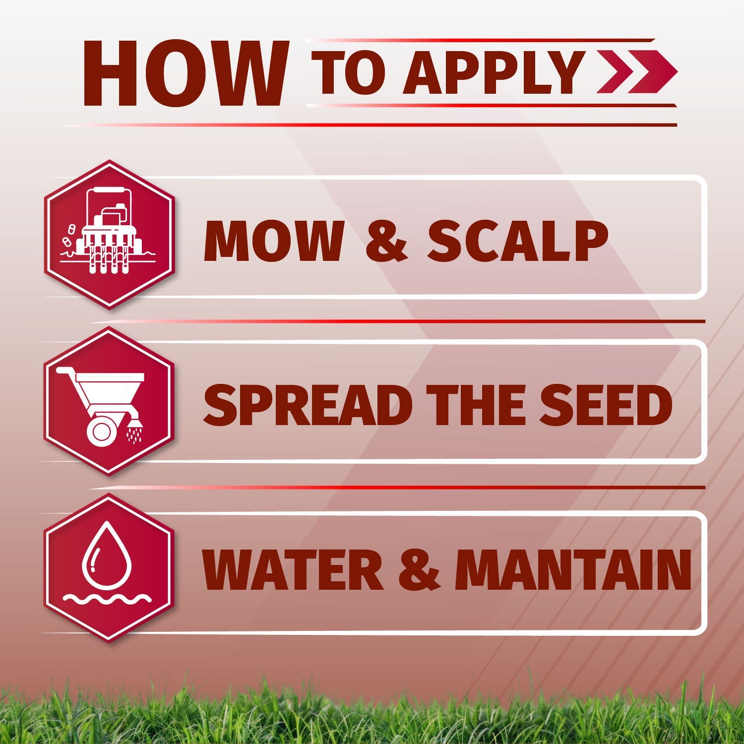 Velocity Perennial Rye Grass Seed