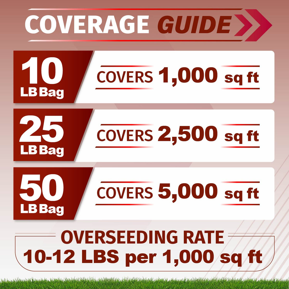 Velocity Perennial Rye Grass Seed
