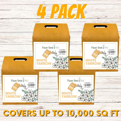 White Yarrow Eco-Friendly Seeding Kit