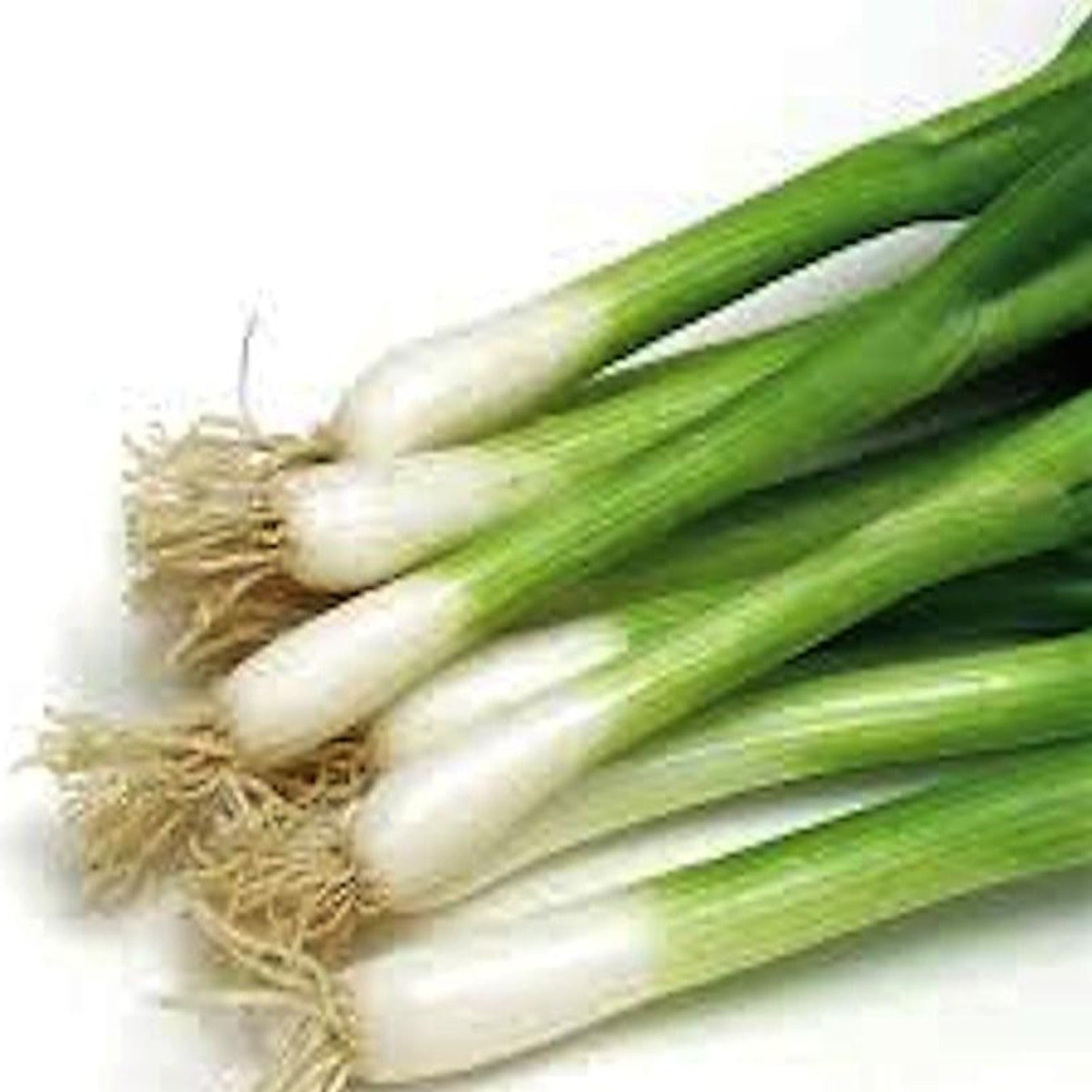 Basics: All the Onions