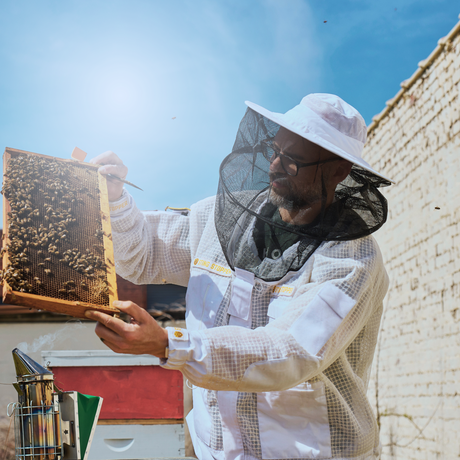 Beekeeping Veil - Round and Fencing