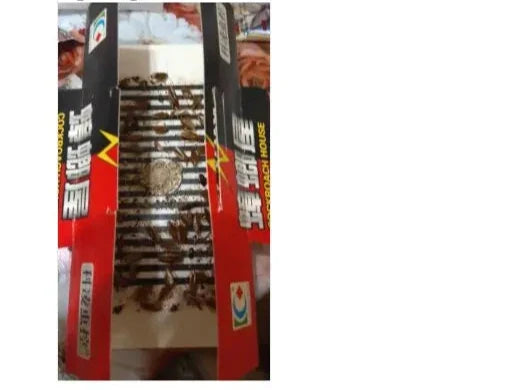 10Pcs Cockroach Sticky Glue Traps 🪳✨ | Eco-Friendly Pest Repellent 🌱 | Non-Toxic Roach Control 🚫
