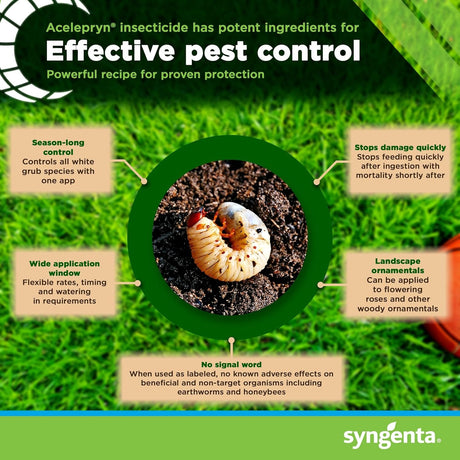 Acelepryn Insecticide - Liquid Grub & Armyworm Control