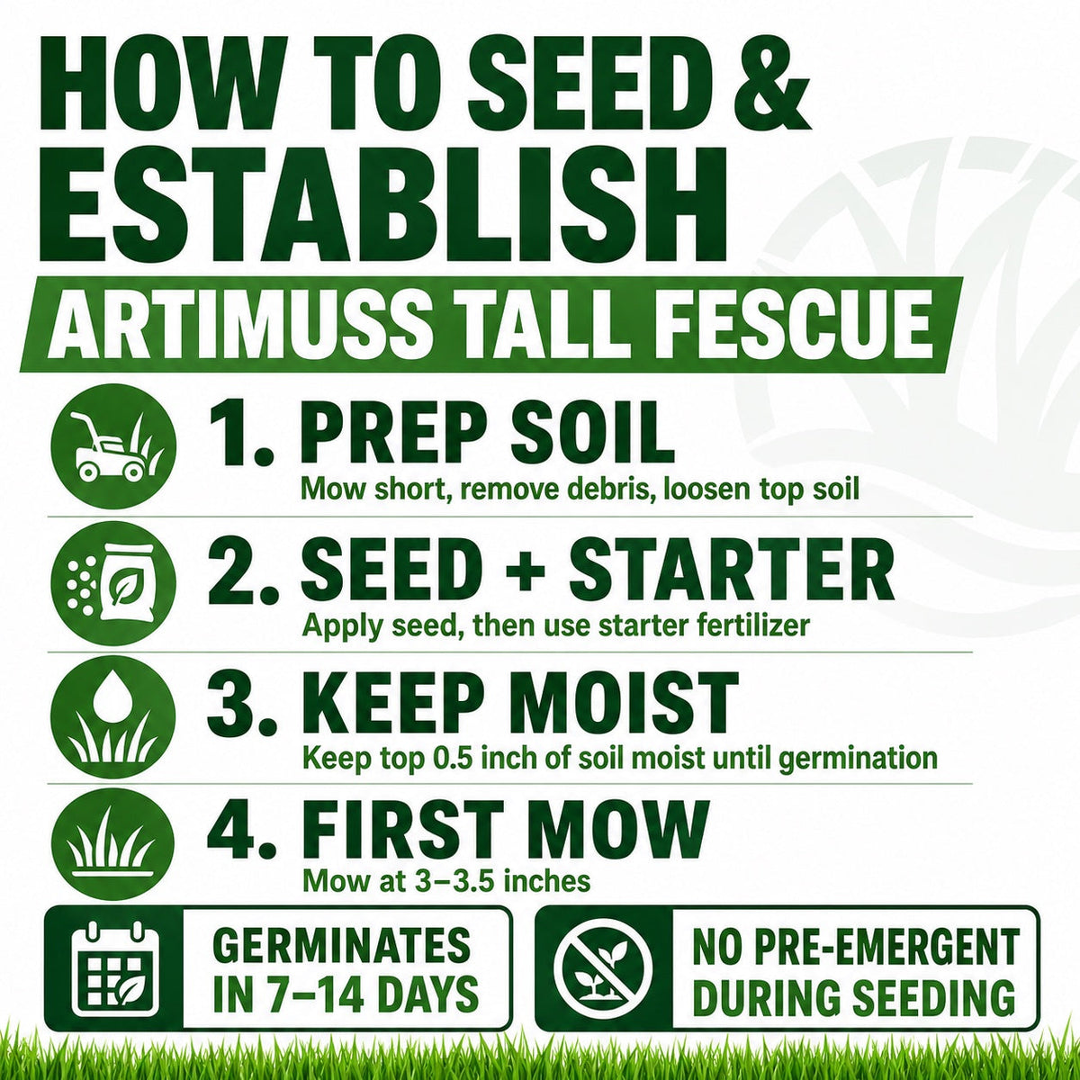 Artimuss Tall Fescue Grass Seed