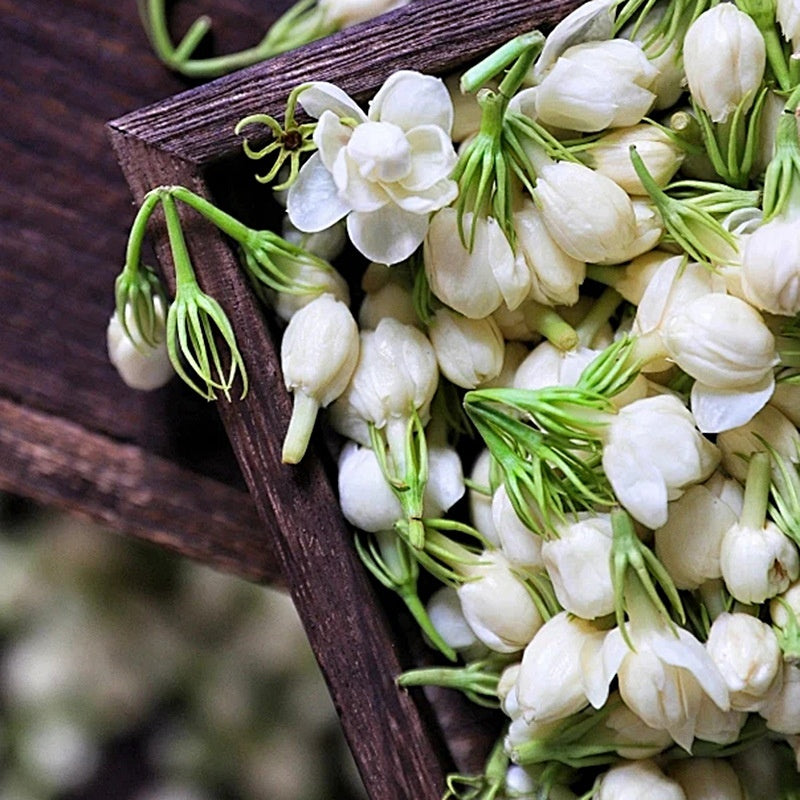 Bulk Dried Jasmine Tea – Whole Jasmine Flowers (500g–1000g)