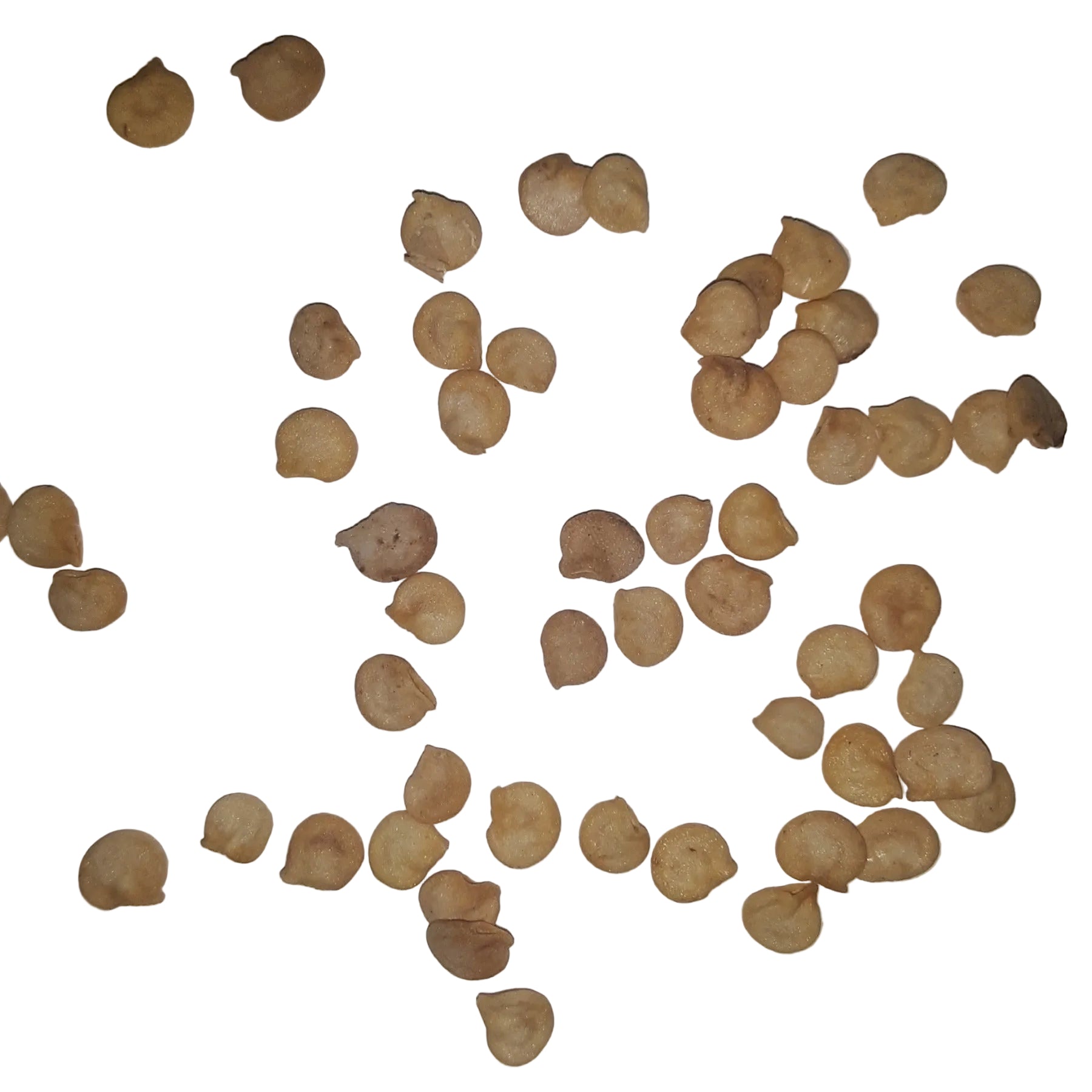 Sweet Banana Heirloom Pepper Seeds