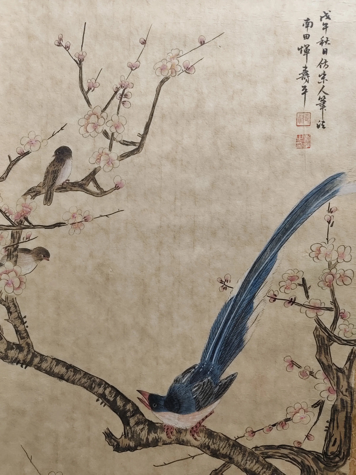 Antique Chinese Hand‑Painted Long Scroll – Bird & Flower Painting