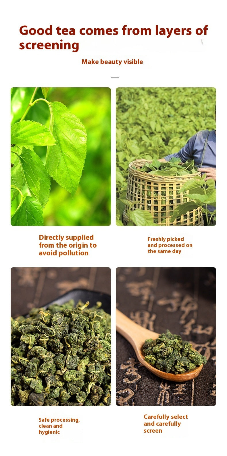 Chinese Folium Mori Mulberry Leaf Tea in Can – 250g
