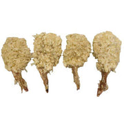 Tampa Bay Fisheries 8/12 Super Colossal Coconut Shrimp 2 pounds
