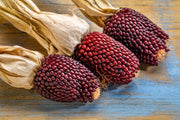 150 Red STRAWBERRY POPCORN CORN Zea Mays Vegetable Seeds
