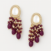 Elegant Earrings for Women-D04