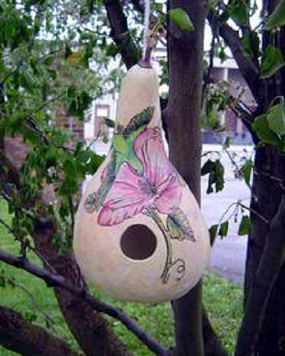 20 BIRDHOUSE GOURD (Hard Shelled Gourd / Calabash) Lagenaria Siceraria Vine Seeds