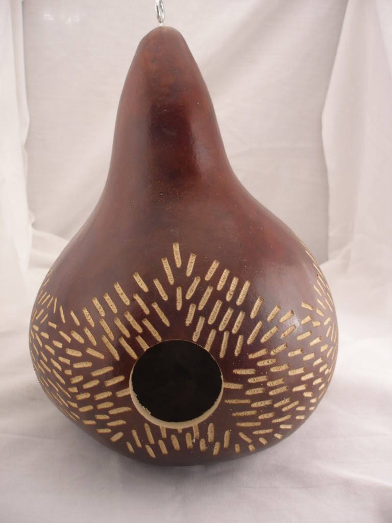 20 BIRDHOUSE GOURD (Hard Shelled Gourd / Calabash) Lagenaria Siceraria Vine Seeds