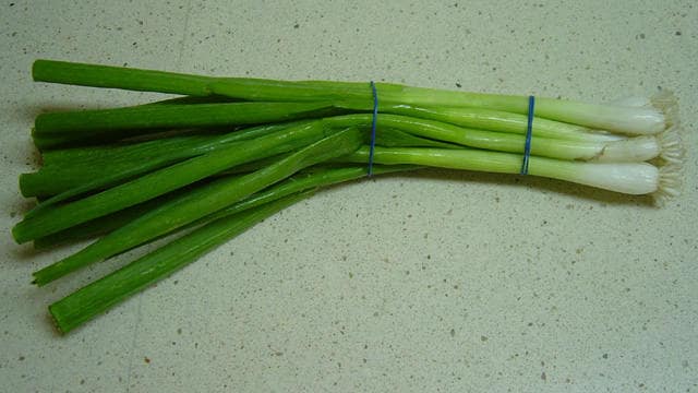 300 Evergreen NEBUKA BUNCHING ONION Japanese Allium Fistulosum Vegetable Seeds