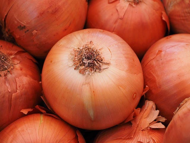 400 Texas EARLY GRANO ONION Large Sweet Yellow Allium Cepa Vegetable Seeds