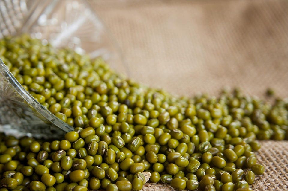 150 MUNG BEAN Moong Sprouts Golden Gram Green Vigna Radiata Vegetable Seeds