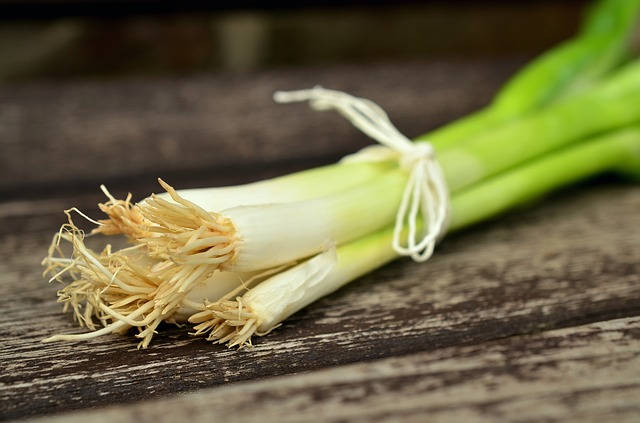 300 Evergreen NEBUKA BUNCHING ONION Japanese Allium Fistulosum Vegetable Seeds