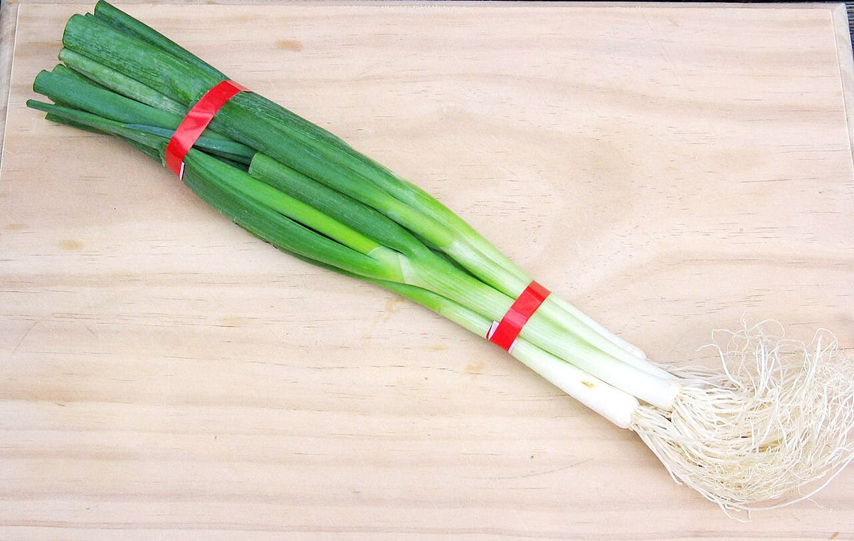 300 Evergreen NEBUKA BUNCHING ONION Japanese Allium Fistulosum Vegetable Seeds
