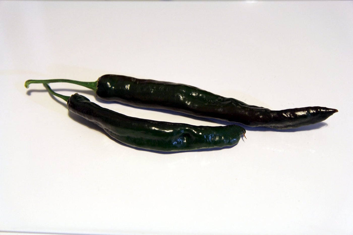 50 PASILLA BAJIO PEPPER Mexican Chile Negro Capsicum Annuum Vegetable Seeds