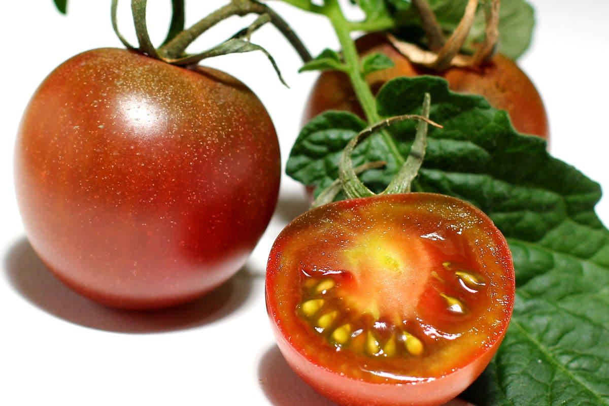 50 BLACK CHERRY TOMATO Black Skin Sweet Round Lycopersicon Fruit Vegetable Seeds